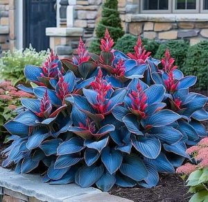 Хоста Грин Фог купить по цене от 669р. в интернет-магазине «Посадика» с доставкой почтой в в Болхове и по всей России – [изображение №1].