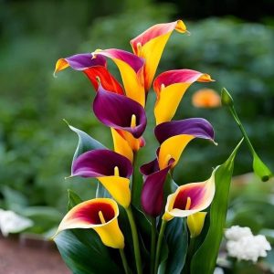 Калла Кристалл купить по цене от 450р. в интернет-магазине «Посадика» с доставкой почтой в в Болхове и по всей России – [изображение №1].