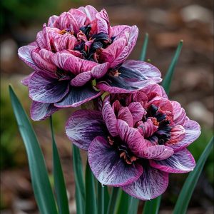 Нарцисс Моргатн Мотив купить по цене от 2000р. в интернет-магазине «Посадика» с доставкой почтой в в Болхове и по всей России – [изображение №1].