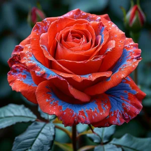 Роза Сикрет Гарден купить по цене от 619р. в интернет-магазине «Посадика» с доставкой почтой в в Болхове и по всей России – [изображение №1].