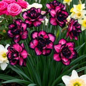 Нарцисс Золотая Корона купить по цене от 2000р. в интернет-магазине «Посадика» с доставкой почтой в в Болхове и по всей России – [изображение №1].