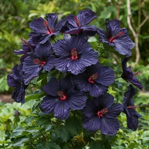 Гибискус Мэджик Момент купить по цене от 699р. в интернет-магазине «Посадика» с доставкой почтой в в Болхове и по всей России – [изображение №1].