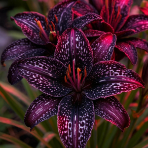 Лилейник Вояж купить по цене от 699р. в интернет-магазине «Посадика» с доставкой почтой в в Болхове и по всей России – [изображение №1].